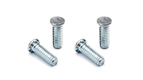 Clinch Screw